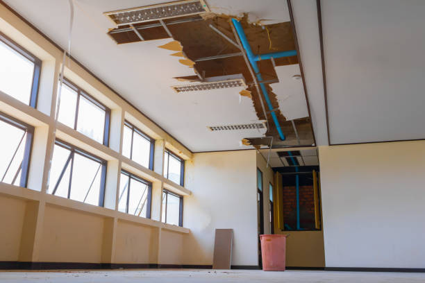 Best Water damage restoration near me  in Loma Ri, CA