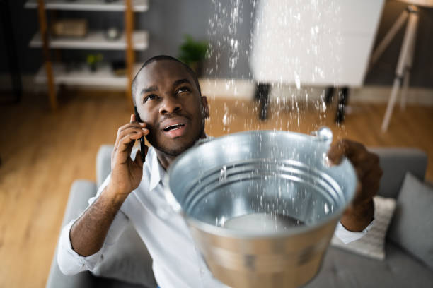 Best Basement water damage restoration  in Loma Ri, CA