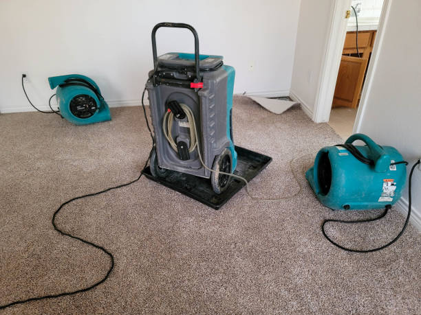Best Basement water damage restoration  in Loma Ri, CA