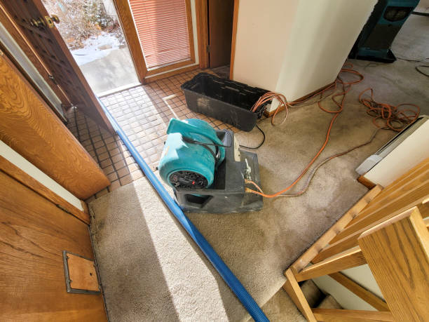 Best Water damage restoration mold remediation  in Loma Ri, CA