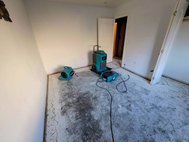 Best Water damage cleanup near me  in Loma Ri, CA