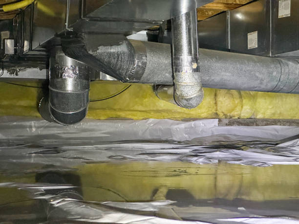 Best Water damage cleanup near me  in Loma Ri, CA