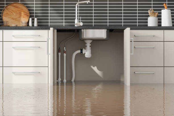 Best Sewage cleanup and water damage restoration  in Loma Ri, CA