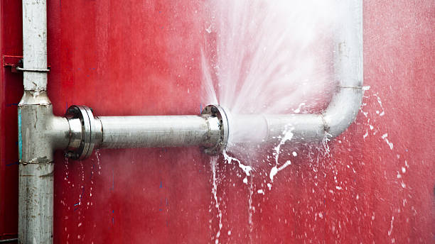 Best 24-hour water damage restoration  in Loma Ri, CA